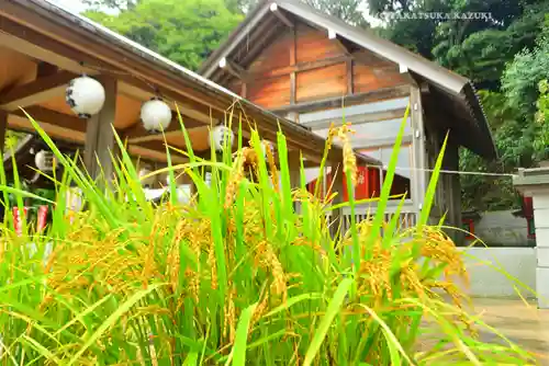 富岡八幡宮(神奈川県)