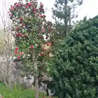廣田神社~病厄除守護神~の自然
