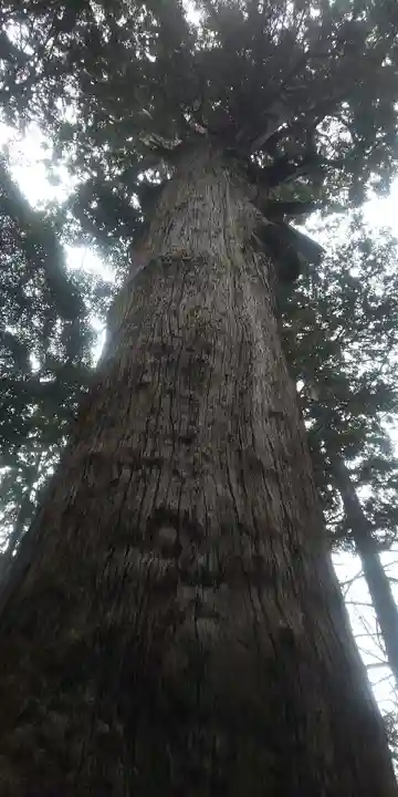 麻賀多神社(千葉県)