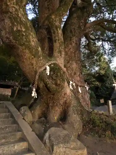 玉祖神社の自然