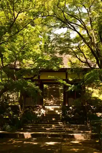 常寂光寺(京都府)