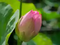 極楽山 浄土寺(北海道)