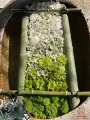 立志神社(滋賀県)