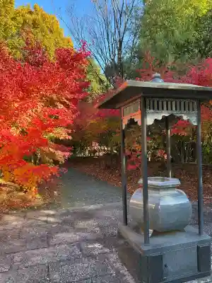 大森寺(愛知県)