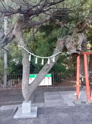 玉村八幡宮の御朱印