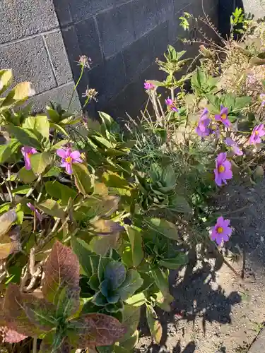 上国寺(神奈川県)