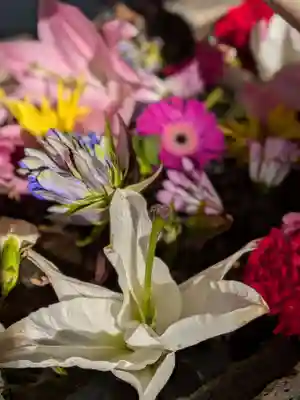 鳩森八幡神社の手水舎