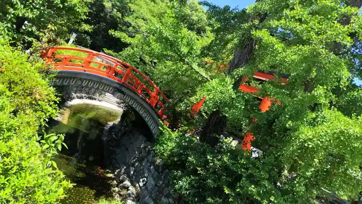 賀茂御祖神社(下鴨神社)(京都府)
