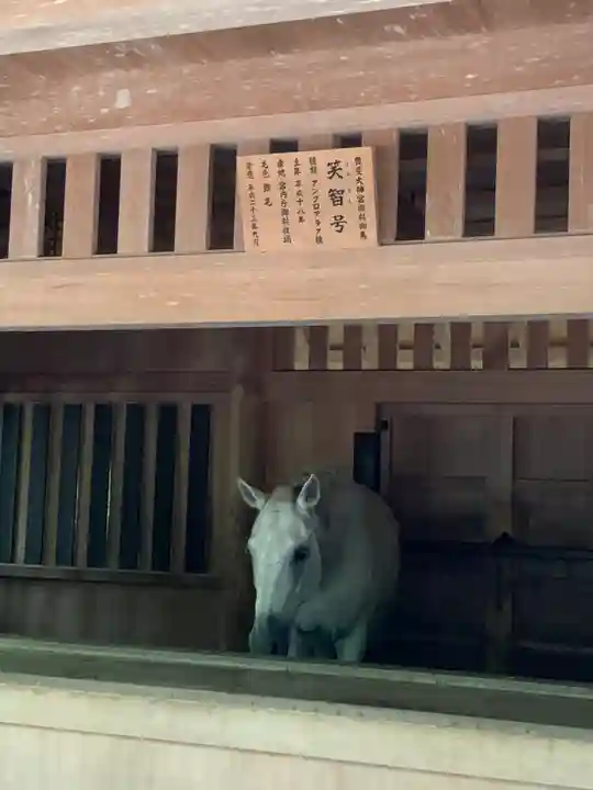 伊勢神宮外宮(豊受大神宮)の動物