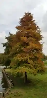 香取神社の自然