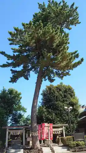 中野沼袋氷川神社の末社・摂社