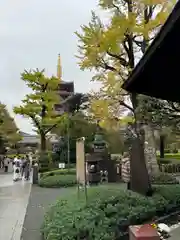 浅草寺(東京都)