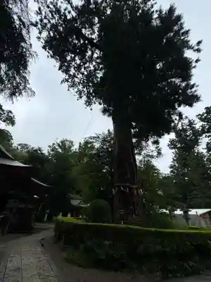 香取神宮(千葉県)