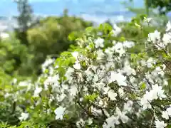 和神社(長野県)