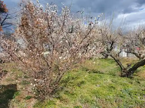 梅野森天満宮(栃木県)