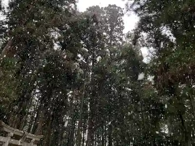 大宮温泉神社(栃木県)