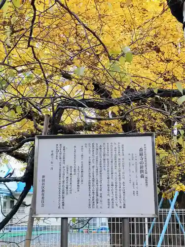 森巌寺(東京都)