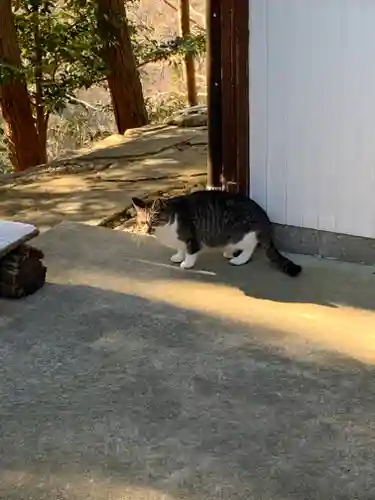 玉野御嶽神社の動物