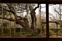 宝泉院(京都府)