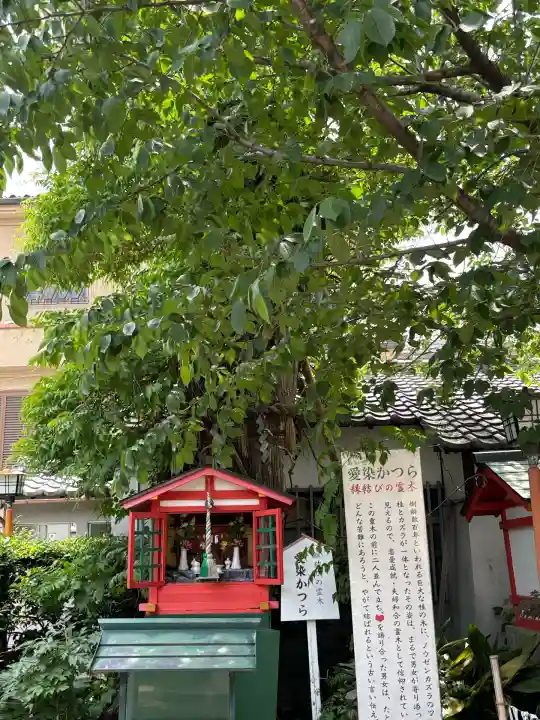 愛染堂勝鬘院の自然