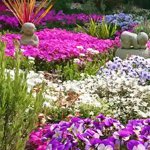 寿量山 速成寺の庭園(2020年04月19日(日) 16時17分44秒投稿)