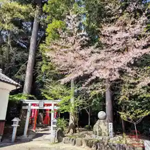 立志神社(滋賀県)(2024年04月14日(日) 20時16分36秒投稿)