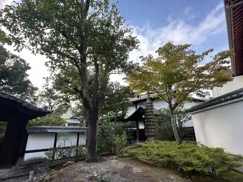 圓徳院(京都府)