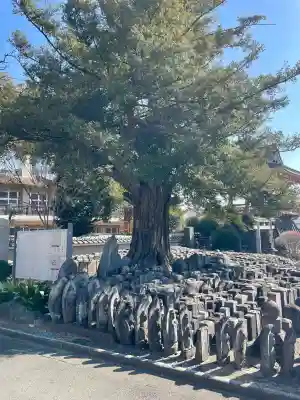 浄運寺の{uncategorized: "未分類", other: "その他", undefined: "問題あり", building: "その他建物", grave: "お墓", sacred_gate: "鳥居", guardian: "狛犬", statue: "像", buddha: "仏像", history: "歴史", nature: "自然", garden: "庭園", animal: "動物", pagoda: "塔", temizu: "手水舎", mountain_gate: "山門・神門", sanctuary: "本殿・本堂", subordinate: "末社・摂社", art: "芸術", scenery: "景色", jizo: "地蔵", ema: "絵馬", goshuin: "御朱印", omikuji: "おみくじ", items: "授与品その他", amulet: "お守り", goshuincho: "御朱印帳", eats: "食事", festival: "お祭り", votive_dance: "神楽", shichigosan: "七五三参", wedding: "結婚式", experience: "体験その他", initially: "初詣", around: "周辺", anti_infection: "感染症対策"}