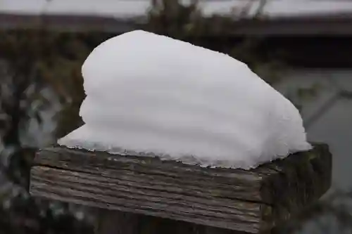 大鏑神社の自然