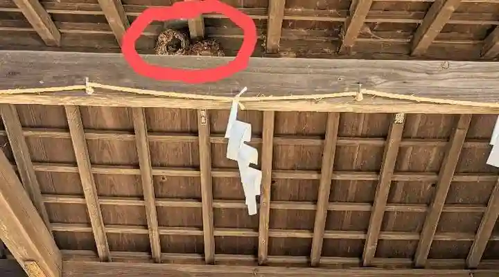 畑子安神社の自然