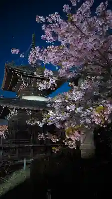 清凉寺(京都府)