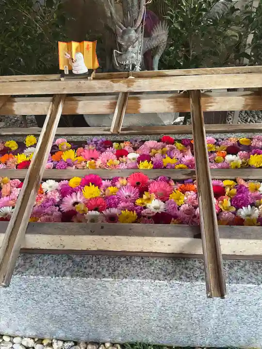 東京大神宮(東京都)