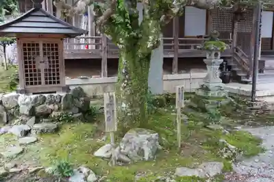 如意輪寺(奈良県)