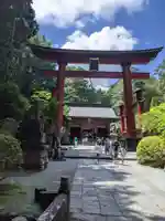 北口本宮冨士浅間神社の鳥居