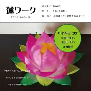 蓮久寺の体験その他 2021年06月29日(火)〜(2021年05月31日(月) 21時11分03秒投稿)