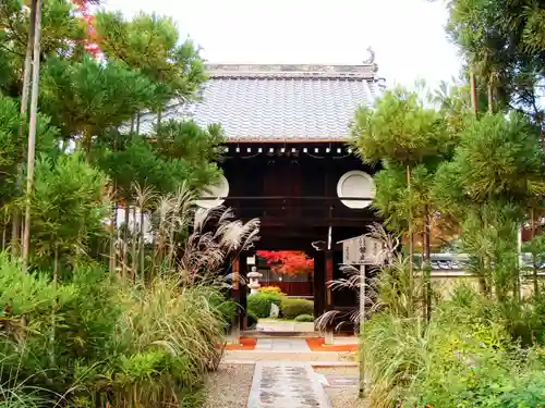 源光庵の山門・神門
