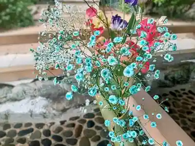 和泉國一之宮　大鳥大社(大阪府)