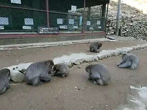 瑠璃寺の{uncategorized: "未分類", other: "その他", undefined: "問題あり", building: "その他建物", grave: "お墓", sacred_gate: "鳥居", guardian: "狛犬", statue: "像", buddha: "仏像", history: "歴史", nature: "自然", garden: "庭園", animal: "動物", pagoda: "塔", temizu: "手水舎", mountain_gate: "山門・神門", sanctuary: "本殿・本堂", subordinate: "末社・摂社", art: "芸術", scenery: "景色", jizo: "地蔵", ema: "絵馬", goshuin: "御朱印", omikuji: "おみくじ", items: "授与品その他", amulet: "お守り", goshuincho: "御朱印帳", eats: "食事", festival: "お祭り", votive_dance: "神楽", shichigosan: "七五三参", wedding: "結婚式", experience: "体験その他", initially: "初詣", around: "周辺", anti_infection: "感染症対策"}