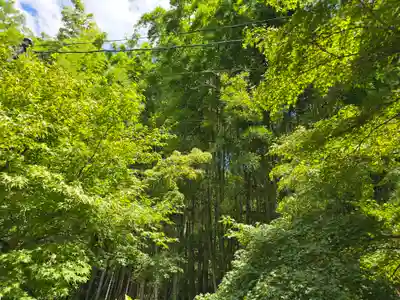 直指庵(京都府)