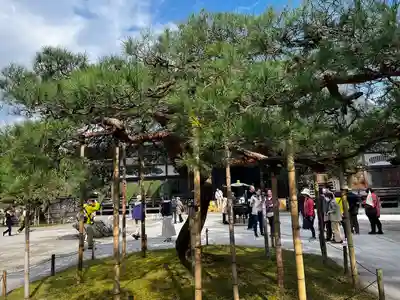 中尊寺(岩手県)