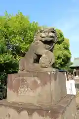 谷原氷川神社の狛犬