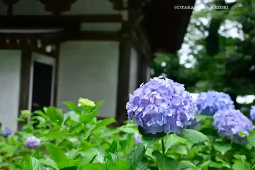妙楽寺(神奈川県)