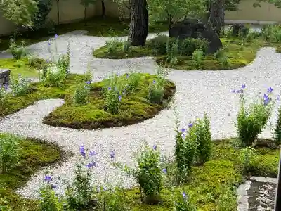 廬山寺(廬山天台講寺)(京都府)