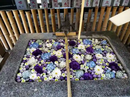 高円寺氷川神社の手水