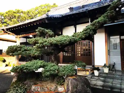 信行寺のその他建物
