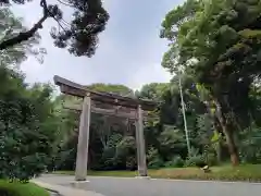 明治神宮の鳥居