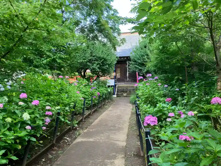 本土寺(千葉県)