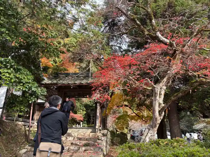 安国寺(京都府)