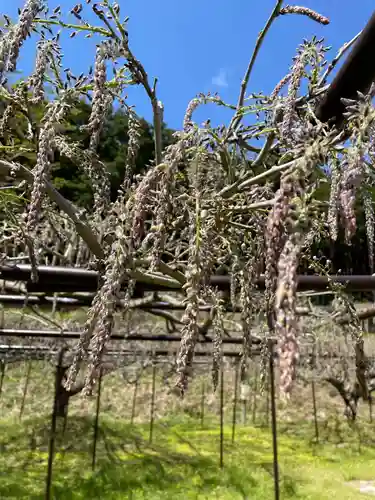 天台宗 五大山 白毫寺(兵庫県)