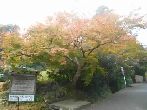 海蔵寺の景色